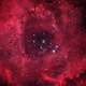 Illustration for article titled Give your valentine one of the biggest roses in the Universe